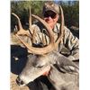 Image 1 : Arizona Coues Deer Hunt