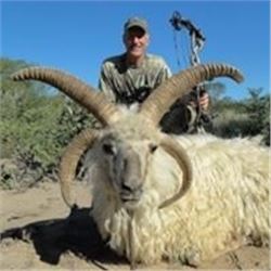 Argentina Sheep Hunt