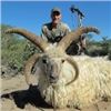 Image 1 : Argentina Sheep Hunt