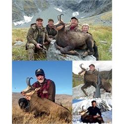 New Zealand Buck Chamois Hunt