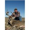 Image 1 : Alberta Whitetail Rifle Hunt