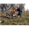Image 1 : Missouri Archery Pre Rut Whitetail Deer Hunt