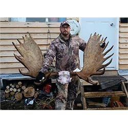 Yukon Moose and Grizzly Hunt