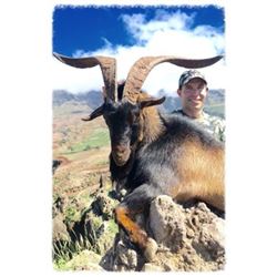 Hawaiian Trophy Goat Hunt