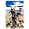 Image 1 : Hawaiian Trophy Goat Hunt