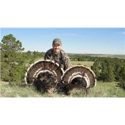 Nebraska Spring Merriam Turkey Hunt