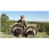 Image 1 : Nebraska Spring Merriam Turkey Hunt