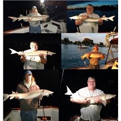 Sturgeon Fishing Trip