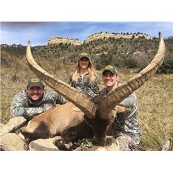 Spain Beceite Ibex Hunt