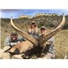 Image 1 : Spain Beceite Ibex Hunt