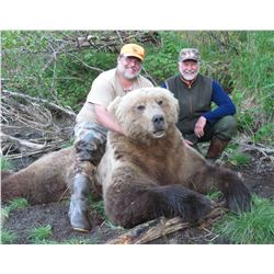 9-Day Alaska Peninsula Brown Bear Hunt for One Hunter