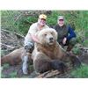 Image 1 : 9-Day Alaska Peninsula Brown Bear Hunt for One Hunter