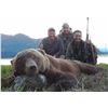 Image 3 : 9-Day Alaska Peninsula Brown Bear Hunt for One Hunter