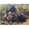 Image 4 : 9-Day Alaska Peninsula Brown Bear Hunt for One Hunter