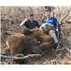 Image 5 : 9-Day Alaska Peninsula Brown Bear Hunt for One Hunter