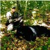 Image 1 : New Brunswick Spring Bear Hunt