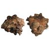 Image 1 : Large clump of dozens of British East India Co. copper XX and X cash, 1803, in original matrix.