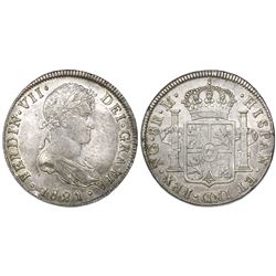 Guatemala, bust 8 reales, Ferdinand VII, 1821M.