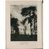Image 1 : BAKER, RICHARD ST BARBE. AMONG THE TREES. 97 pp. Lavishly illustrated throughout. 4to, half vellu...