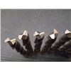Image 8 : New Niagara 7/16" 2FL End Mills