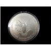 Image 2 : 1999 Colorized 1oz Silver Liberty