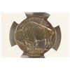 Image 2 : 1913-D TYPE I BUFFALO NICKEL NGC UNC DETAILS