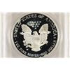 Image 2 : 2006-W AMERICAN SILVER EAGLE PCGS PR69 DCAM