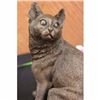 Image 2 : Animal Edition Pompeian Bronze Cat Sculpture