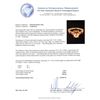 Image 5 : 1.87 ctw Morganite, Ruby and Diamond Ring - 14KT Rose Gold