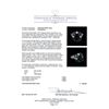 Image 5 : 4.81 ctw Multi Gemstone and Diamond Ring - 14KT White Gold