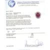 Image 4 : 5.19 ctw Ruby and Diamond Ring - 14KT Yellow Gold