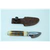 Image 1 : THE BONE COLLECTOR SHEATH KNIFE