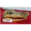 Image 1 : CROCODILE HEAD 8" IN LENGTH