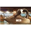 Image 1 : LARGE CANADA GOOSE DECOY