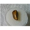 Image 2 : GEM STONE - TIGER'S EYE - POLISHED FREE FORM