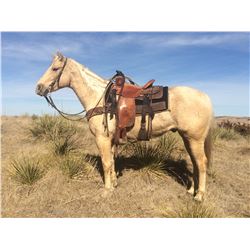 Watch A Genuine Jack