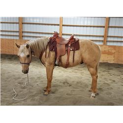 Hes One Classy Chex "Teddy"