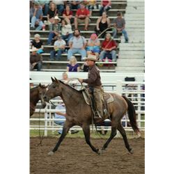 Wyo Quarter Cowboy "Pepper"