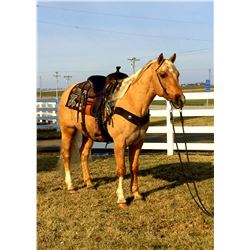 Skeetsdunitwithstyle "Skeeter"