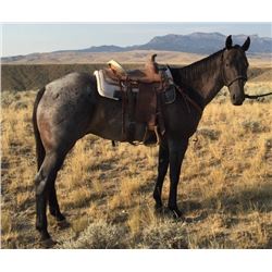 Blue Music Smoky aka "Big John"