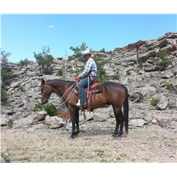 Red Zan Zip aka "Baron"