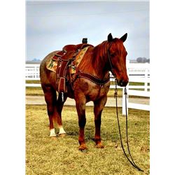 Weavers Heaven Light "Jimbo"