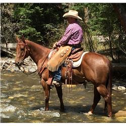 Stylin For Chics aka "Romeo"