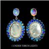 Image 1 : Natural Opal & Mother of Pearl Earrings