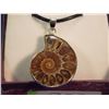 Image 1 : NECKLACE PENDANT - NEW POLISHED AMMONITE PENDANT IN STERLING SILVER SETTING