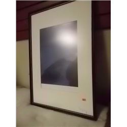 FRAMED PICTURE - LIMITED EDITION