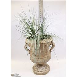 INDOOR PLANT IN A VASE