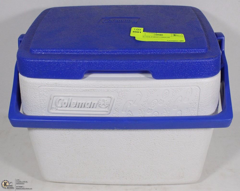SMALL COLEMAN COOLER