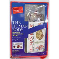 THE HUMAN BODY MODEL SEE THROUGH