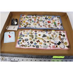 A LOT OF ASSORTED PINS